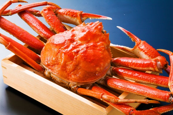 【泉州地区発】 夕日ケ浦温泉「海花亭花御前」で味わうかに会席料理 日帰り2